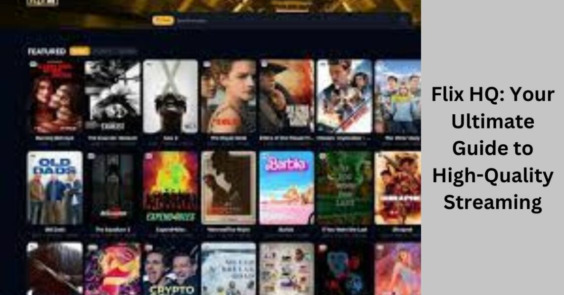 Flix HQ Your Ultimate Guide to High-Quality Streaming