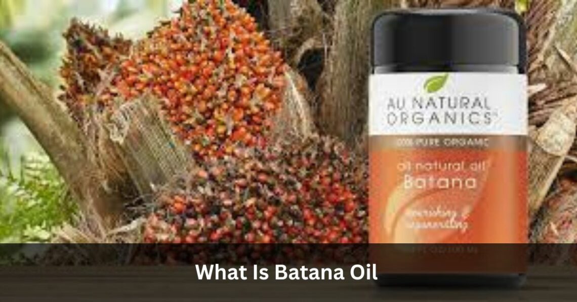 What Is Batana Oil