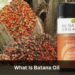 What Is Batana Oil