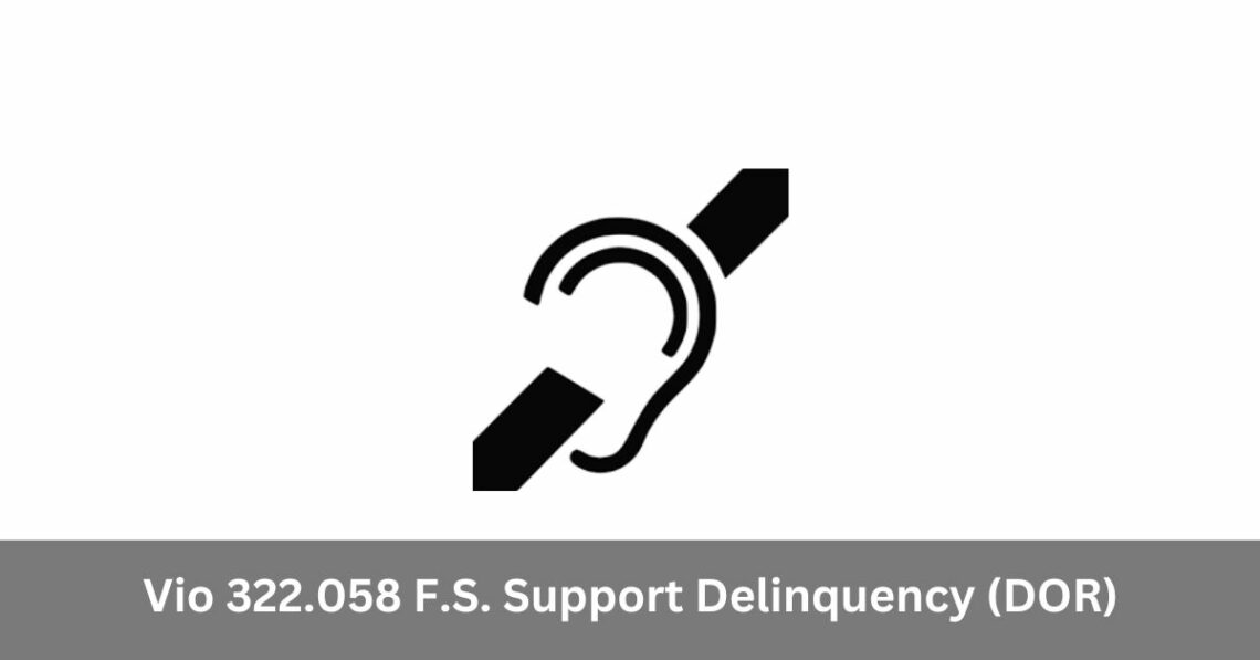 Vio 322.058 F.S. Support Delinquency