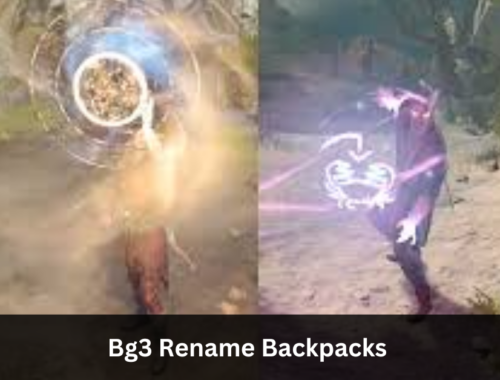 Bg3 Rename Backpacks