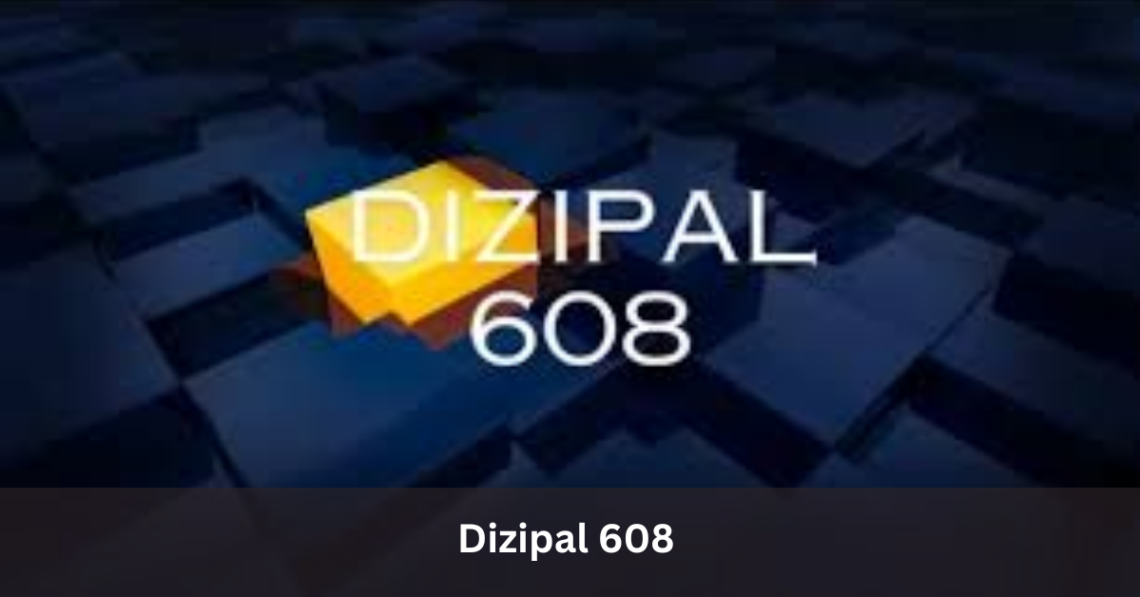 Dizipal 608