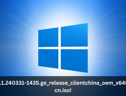 26100.1.240331-1435.ge_release_clientchina_oem_x64fre_zh-cn.iso!