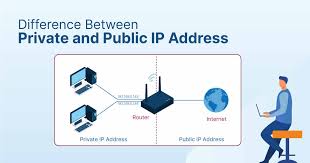 What Are the Key Differences Between Public and Private IPs for 11.11.11.21:5000?